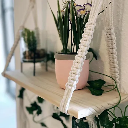 Avec Patio Appartement *