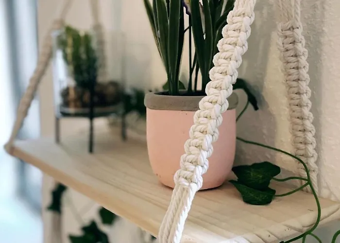 Avec Patio Appartamento *