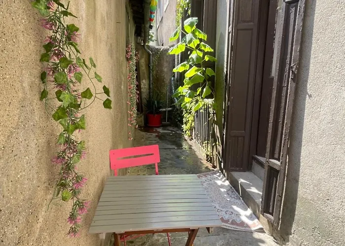 Avec Patio * Carcassonne